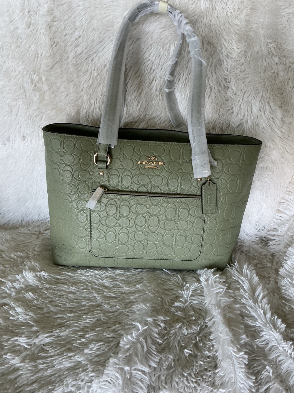 Coach Signature leather Station Tote Bag in pistachio
